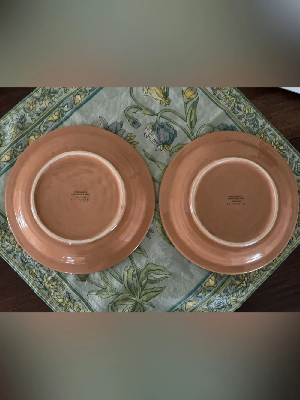 Pottery Barn Rooster Luncheon Plates Set of 2